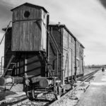 Birkenau Train