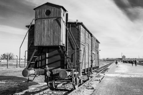 Birkenau Train